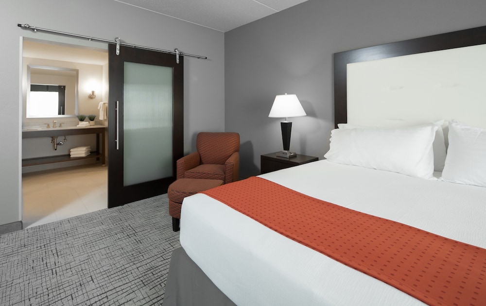 Holiday Inn Hotel & Suites Davenport by IHG - photo 8