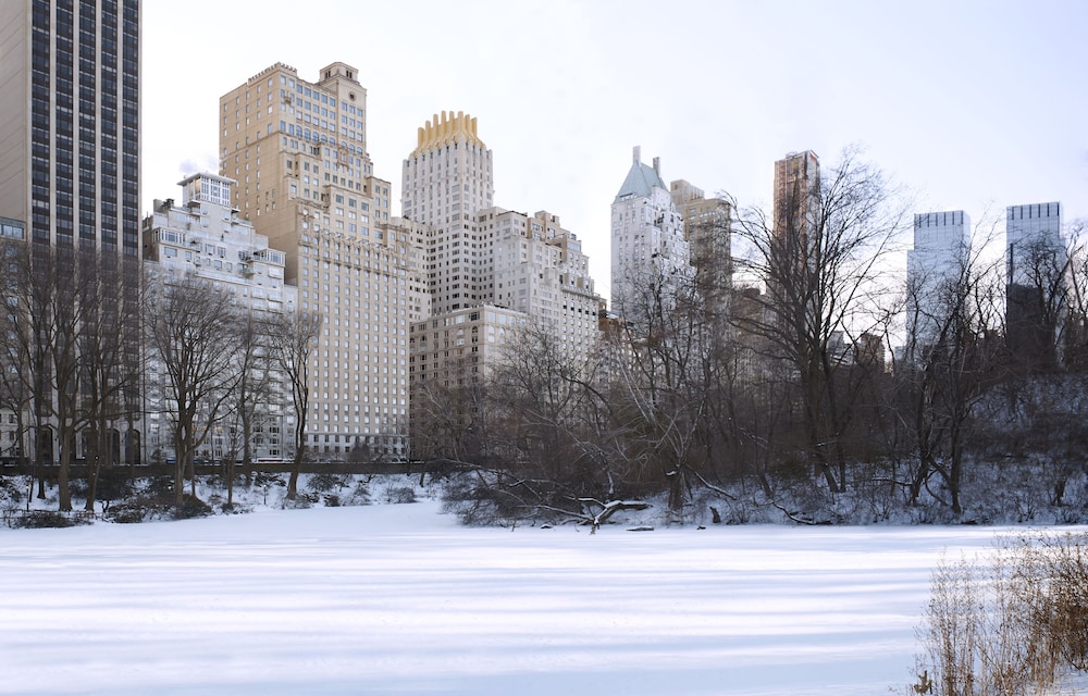 The Ritz Carlton New York Central Park - photo 115