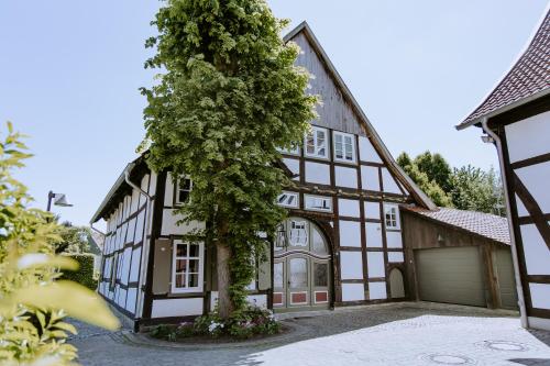 Tonis Traumhaus — Rietberg
