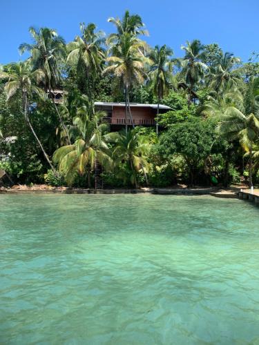 ECO House with Sea View — 4-Star Luxury Hotel in Bastimentos, Panama