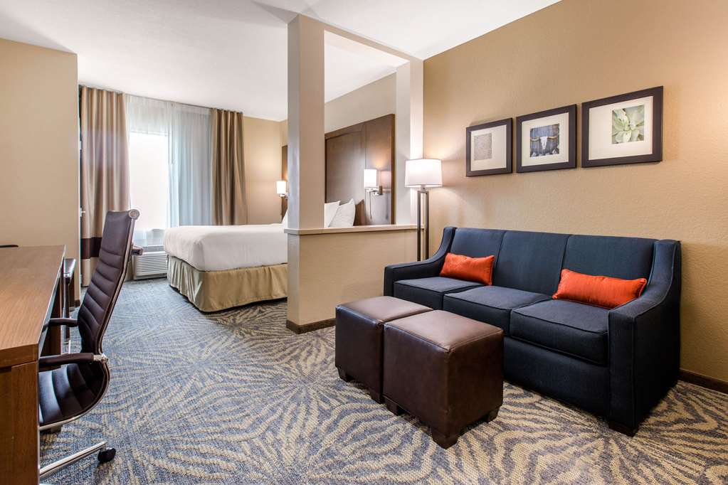 Comfort Suites South Austin - photo 6