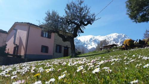 La via del parco pet-friendly hotel Arsita