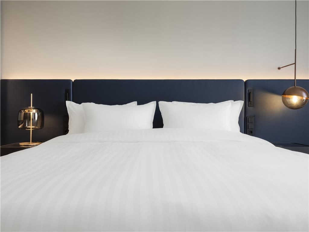 ICONS EHBB rooms DELUXE ROOM