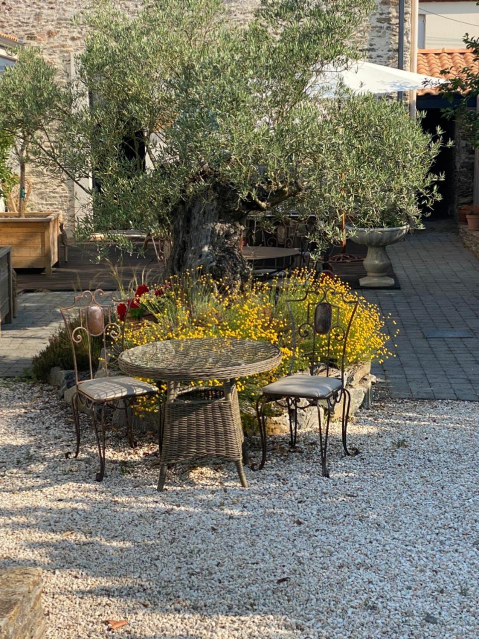 Celine Et Olivier in Pornic, France