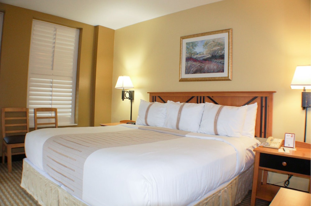 Crockett Hotel - photo 13