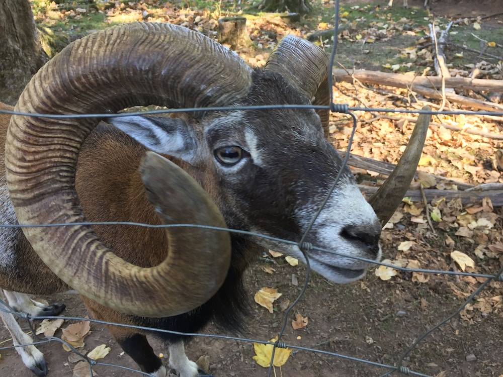 Children's activities