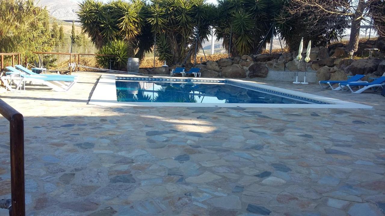 Marumundo — Alora — photo 4