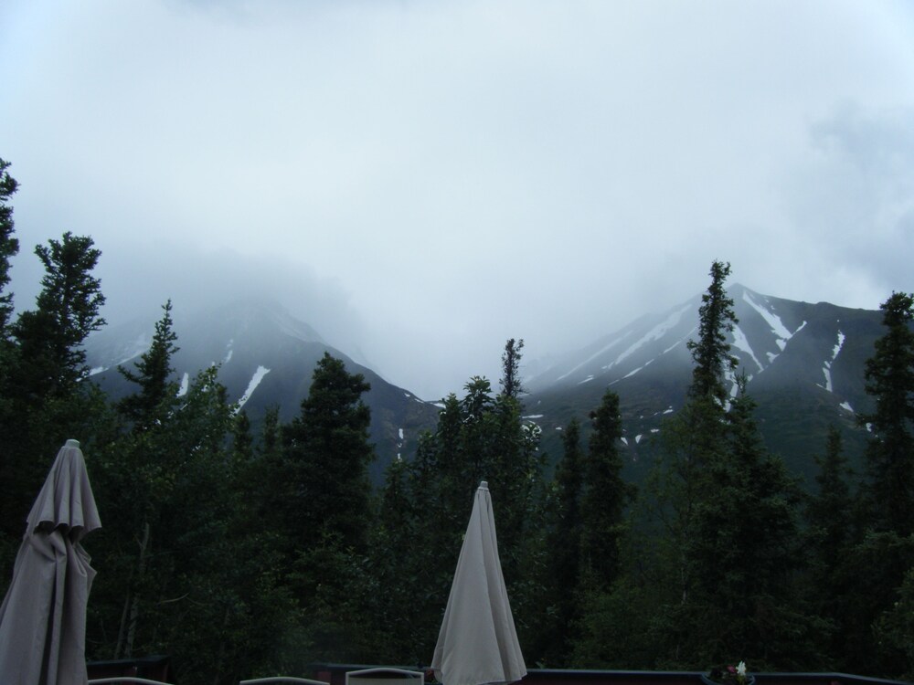 Denali Perch Resort - photo 67