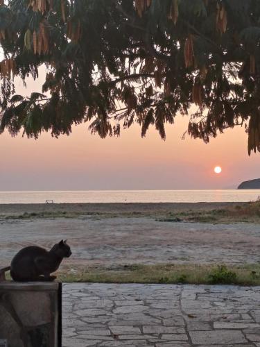 Siesta Beach House — 4-Star Luxury Hotel in Nea Peramos, Greece