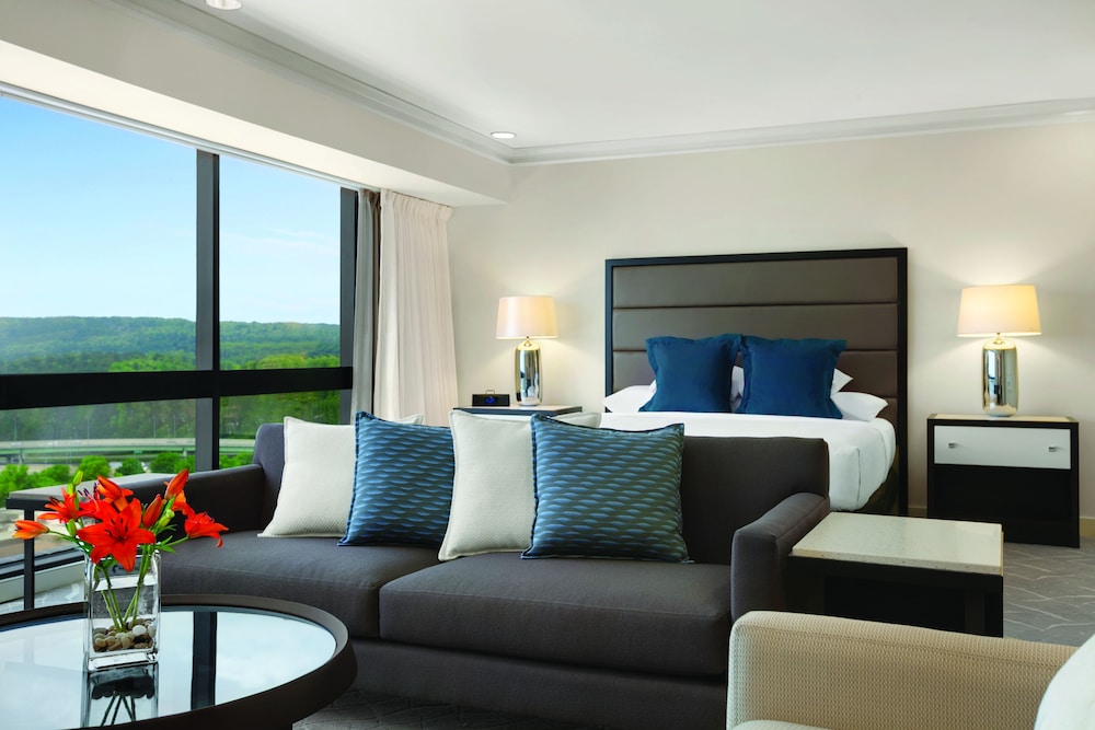Hyatt Regency Birmingham The Wynfrey Hotel - photo 7