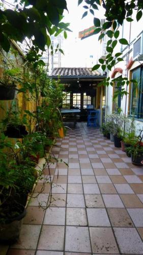 Pousada Flor Amarela in Balneario Camboriu, Brasil