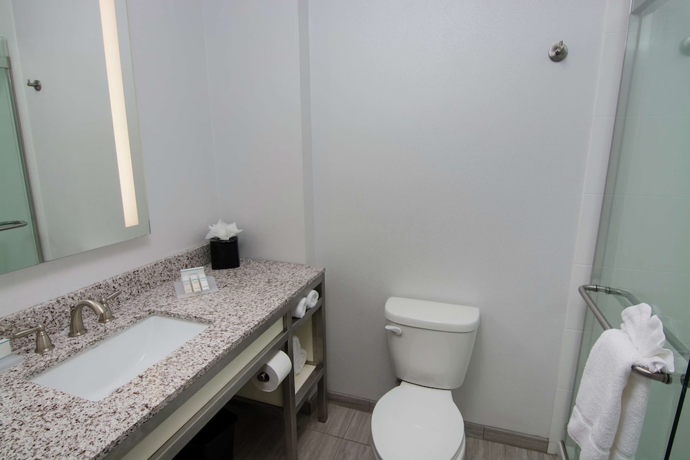 Hilton Garden Inn Tampa Suncoast Parkway - photo 44