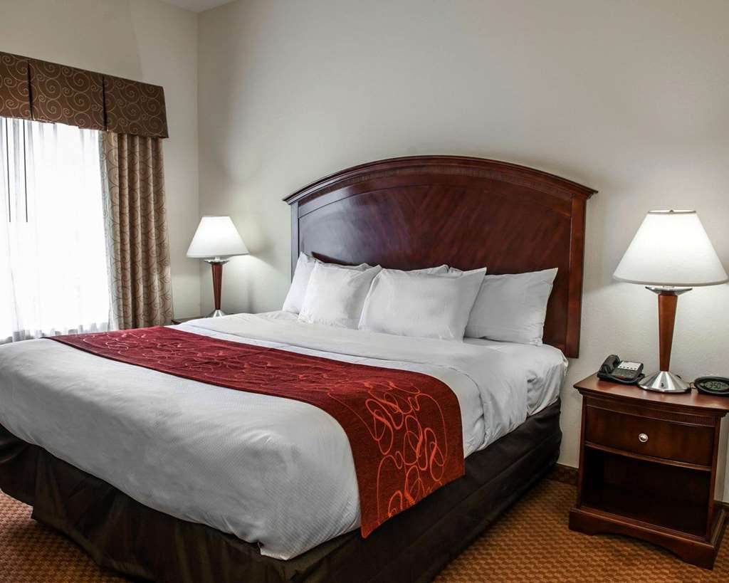 Comfort Suites near Indianapolis Airport - photo 9
