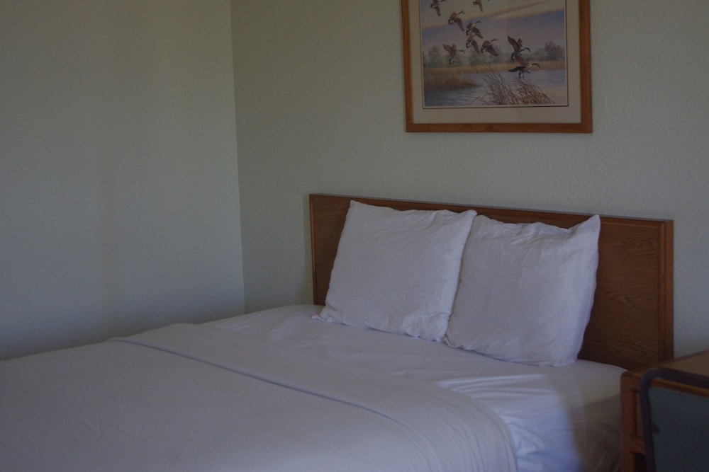 Selby Motel - photo 20