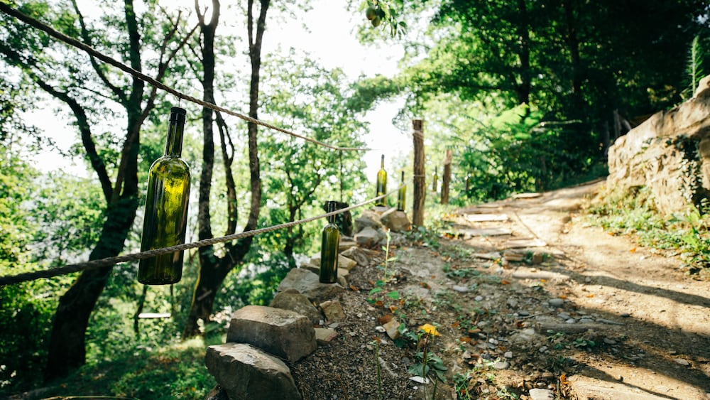 Wine Space in Ambrolauri, Georgia