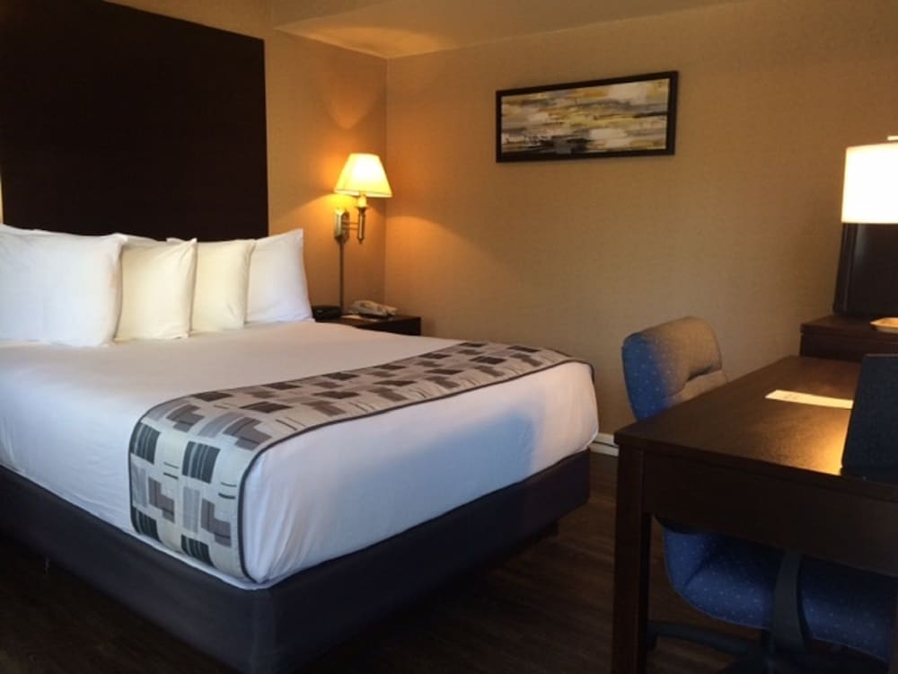 Super 8 By Wyndham Albany - photo 10