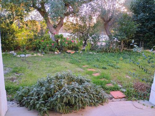 Dimora Lama Cerase in Polignano A Mare, Italy
