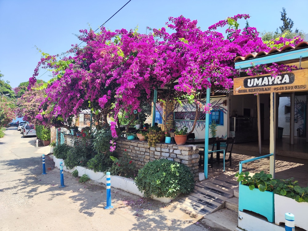 Umayra Otel - last minute hotel in Bodrum