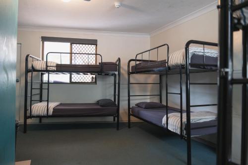 Maxmee Backpackers Resort — Gold Coast — photo 4