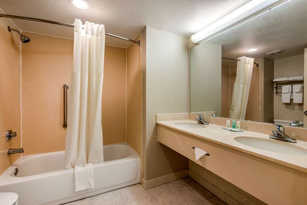 Quality Inn & Suites Tarpon Springs South - photo 20