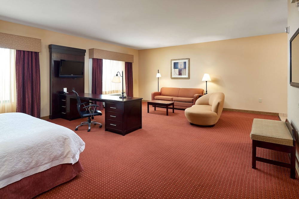 Hampton Inn & Suites Austin South Buda - photo 11