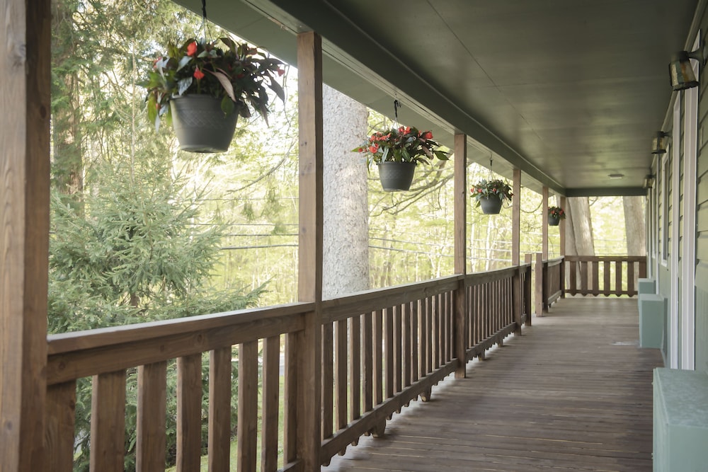 Forest Hill Lodge & Cabins - featured photo