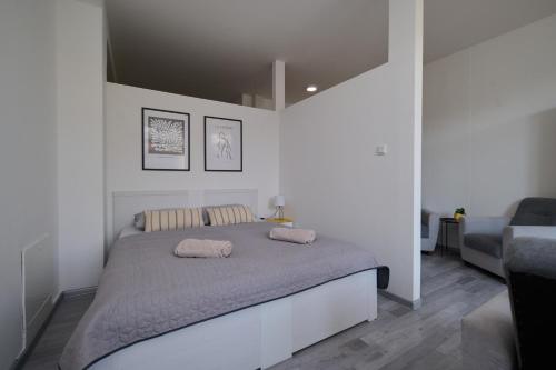 Central Apartments — Martin — photo 3