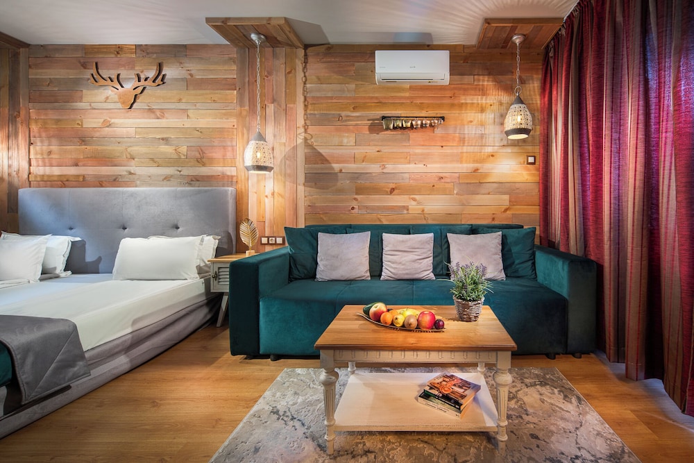 Mountain Dream Hotel — Samokov — photo 4