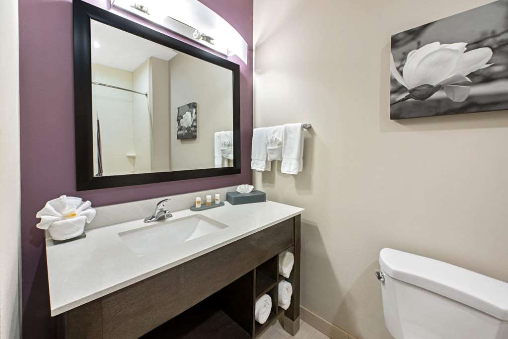 La Quinta Inn & Suites by Wyndham Lake Charles Westlake - photo 21