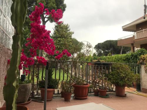 Renata — 4-Star Luxury Hotel in Formia, Italy