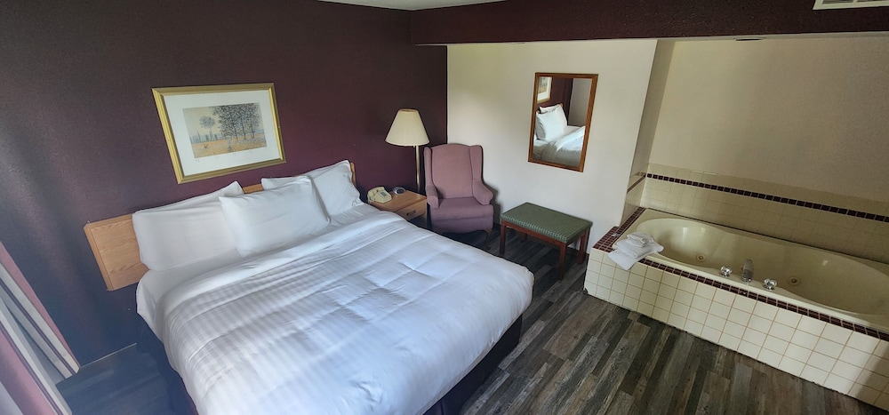 Plymouth Suites Hotel - photo 4