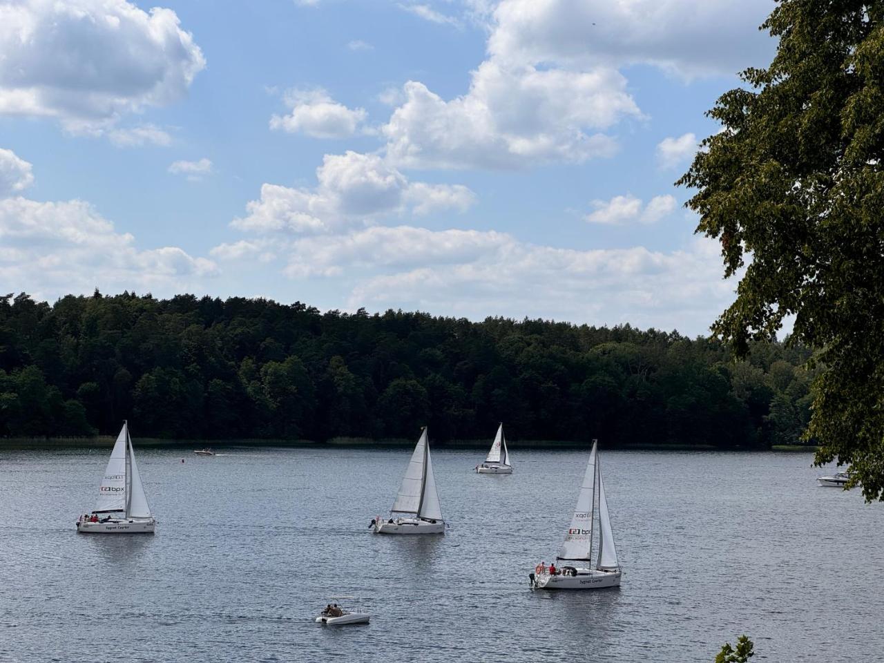 Forest & Lake Mikołajki in Mikolajki, Poland