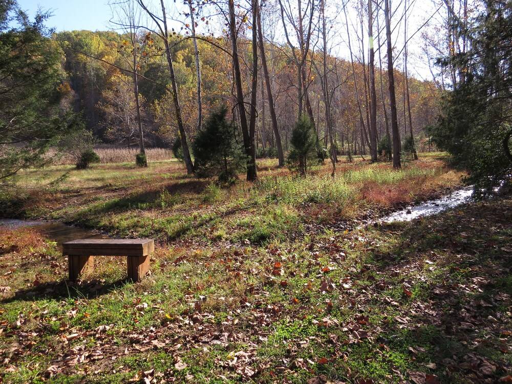 Southern Comfort Lakeside Cabin Resort - photo 52