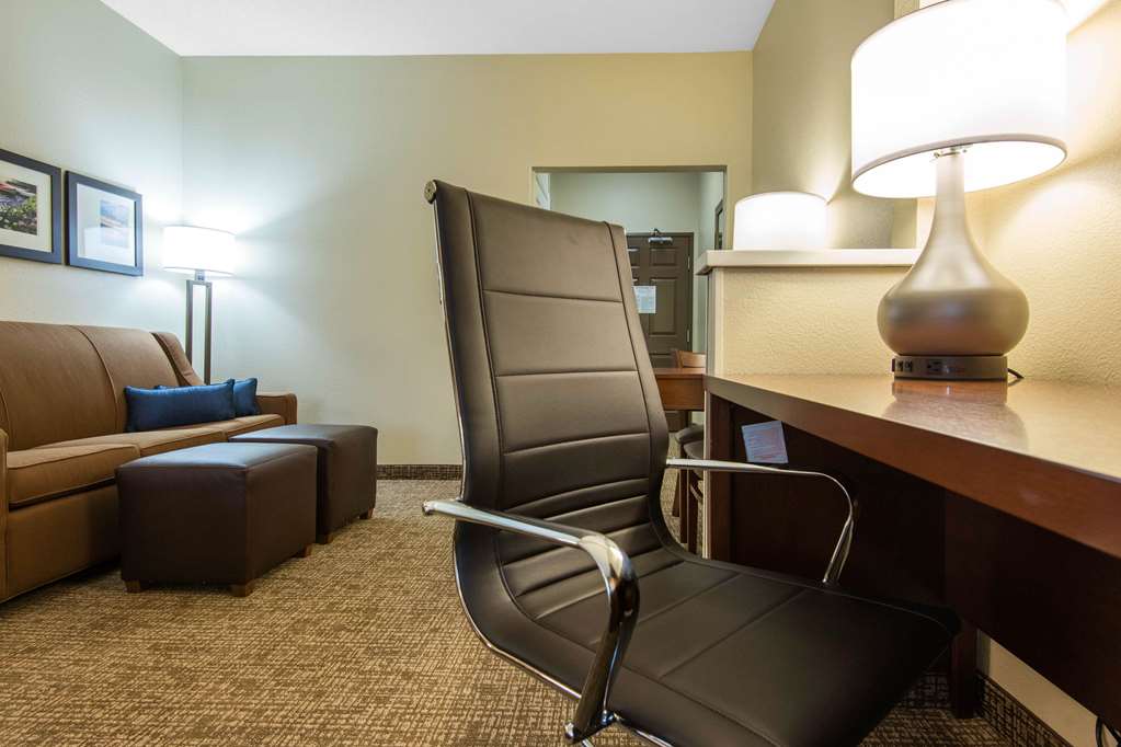 Comfort Suites Rochester Henrietta University Area - photo 18