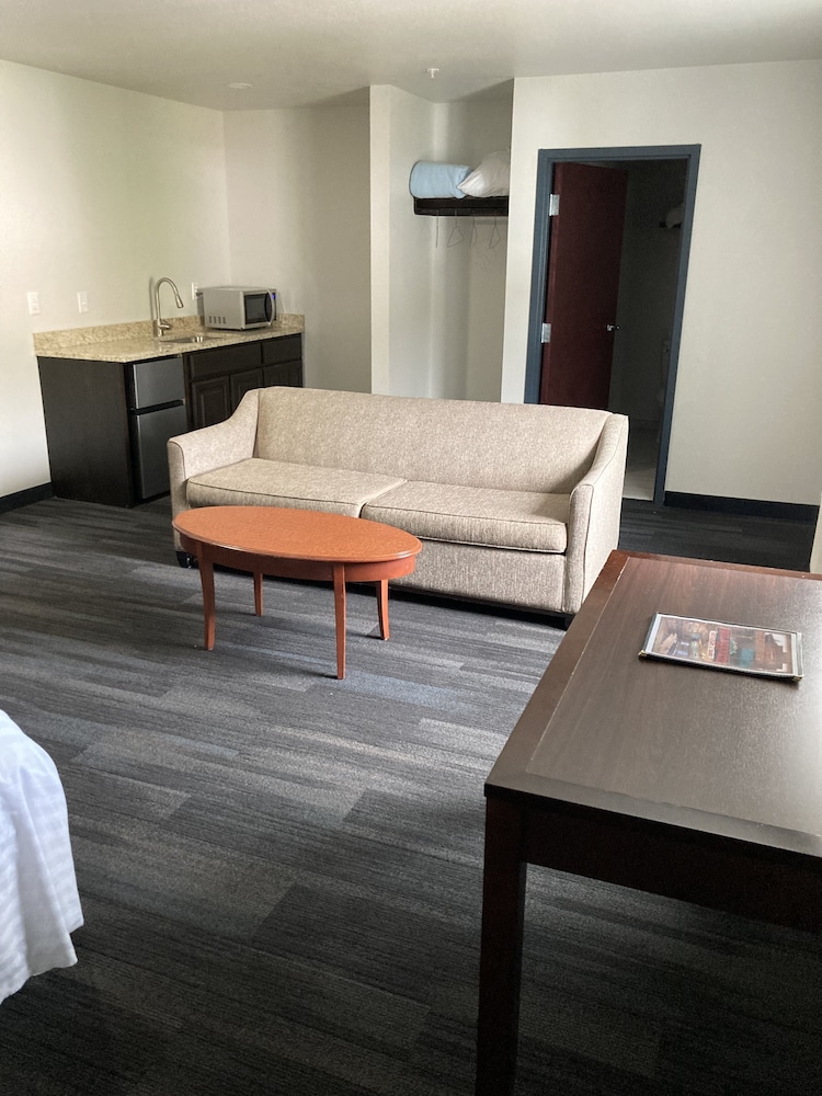 Elker Inn & Suites - photo 8