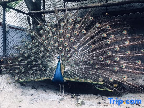 Jiuzhaigou Forest and Water Light Luxury and Beautiful Accommodation in Aba, People's Republic of China