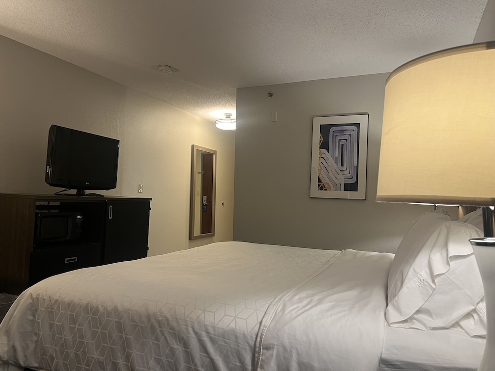 Holiday Inn Express Hotel & Suites St. Paul Woodbury by IHG - photo 12