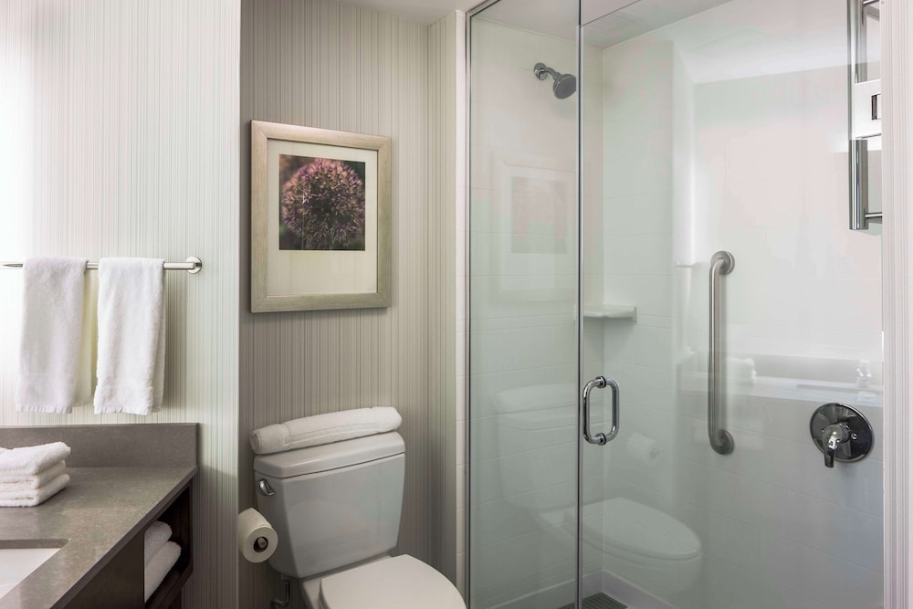 Hilton Garden Inn Long Island City New York - photo 23