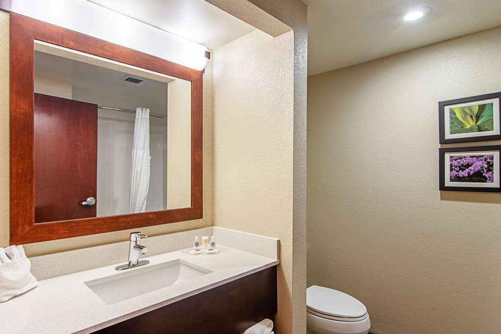 Comfort Suites Knoxville Airport - photo 10