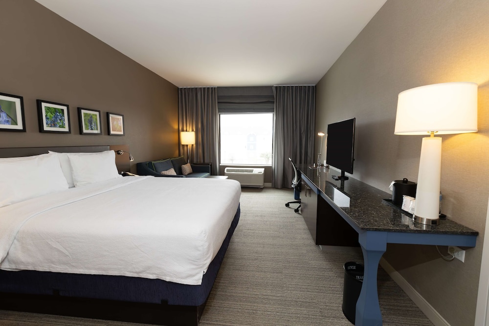 Hilton Garden Inn Austin Airport - photo 11