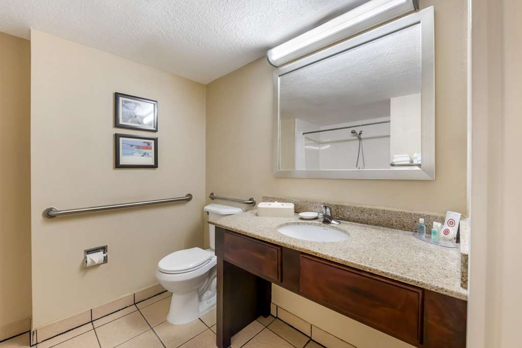 Comfort Inn & Suites Tavares North - photo 22