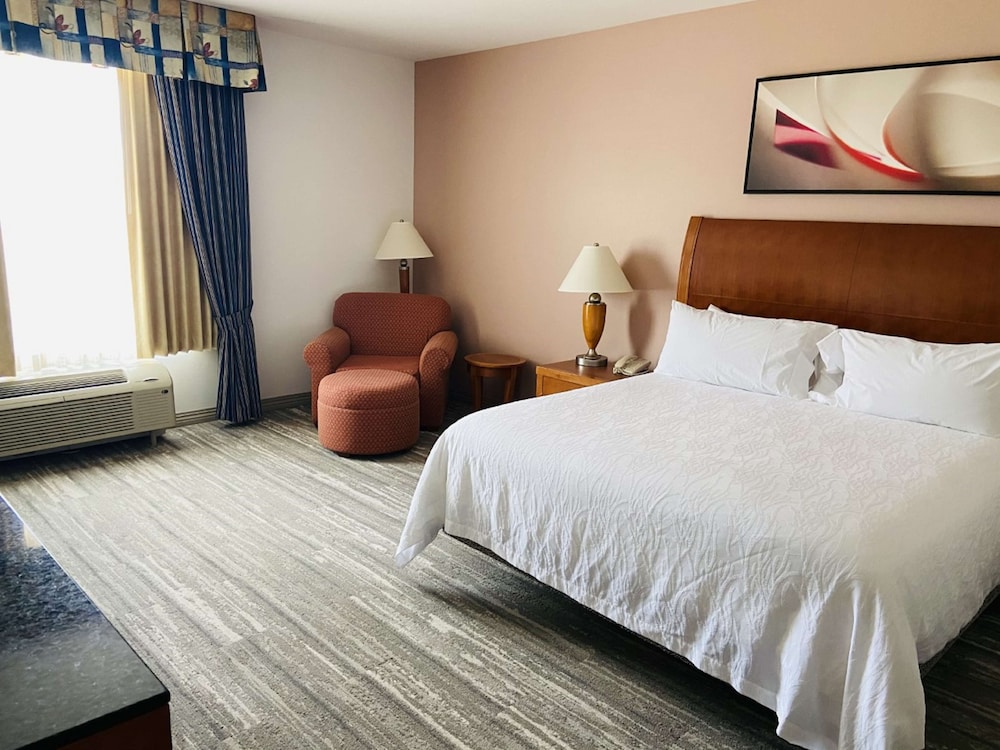 Hilton Garden Inn Columbia - photo 16