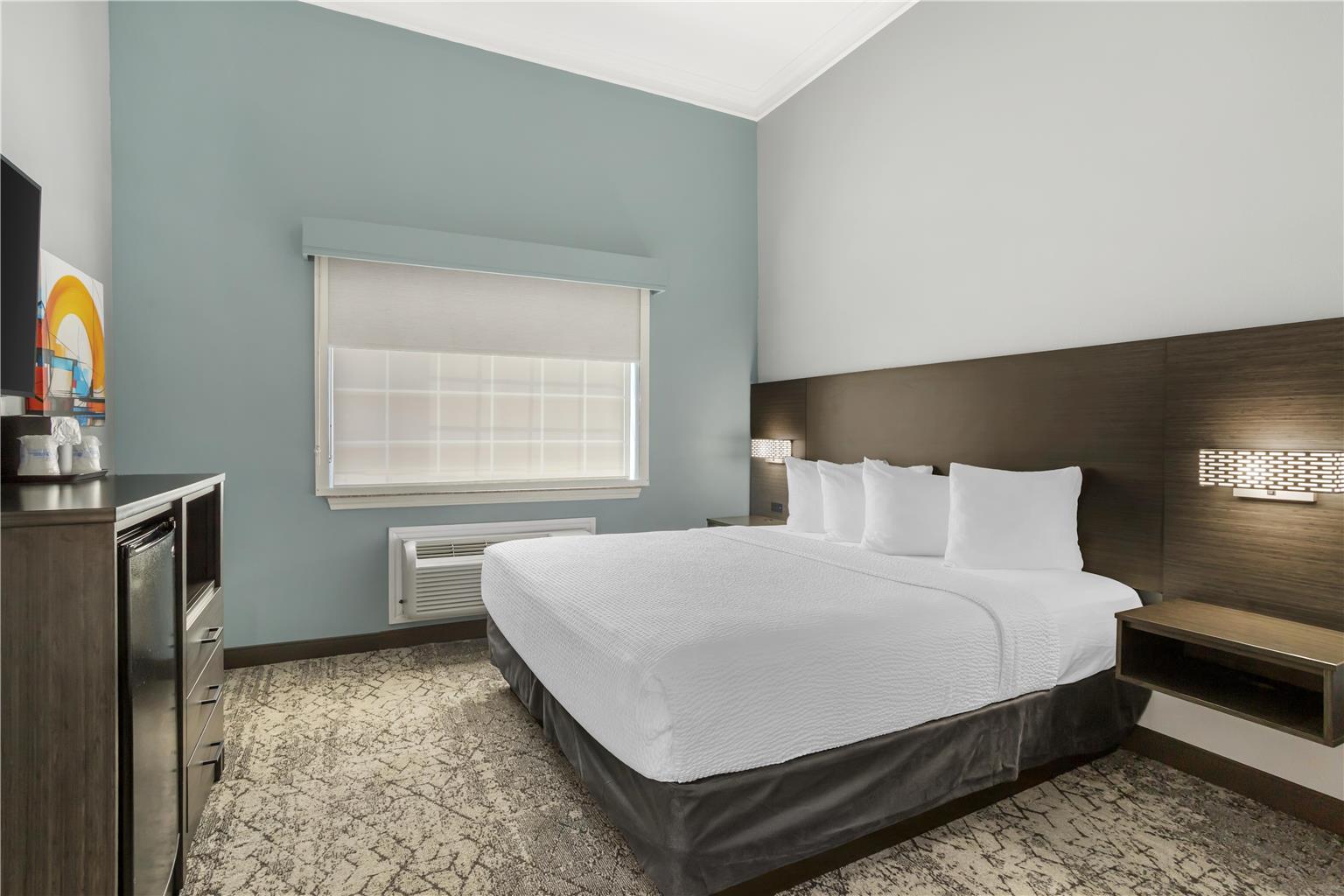 Best Western Plus New Caney Inn & Suites - photo 30