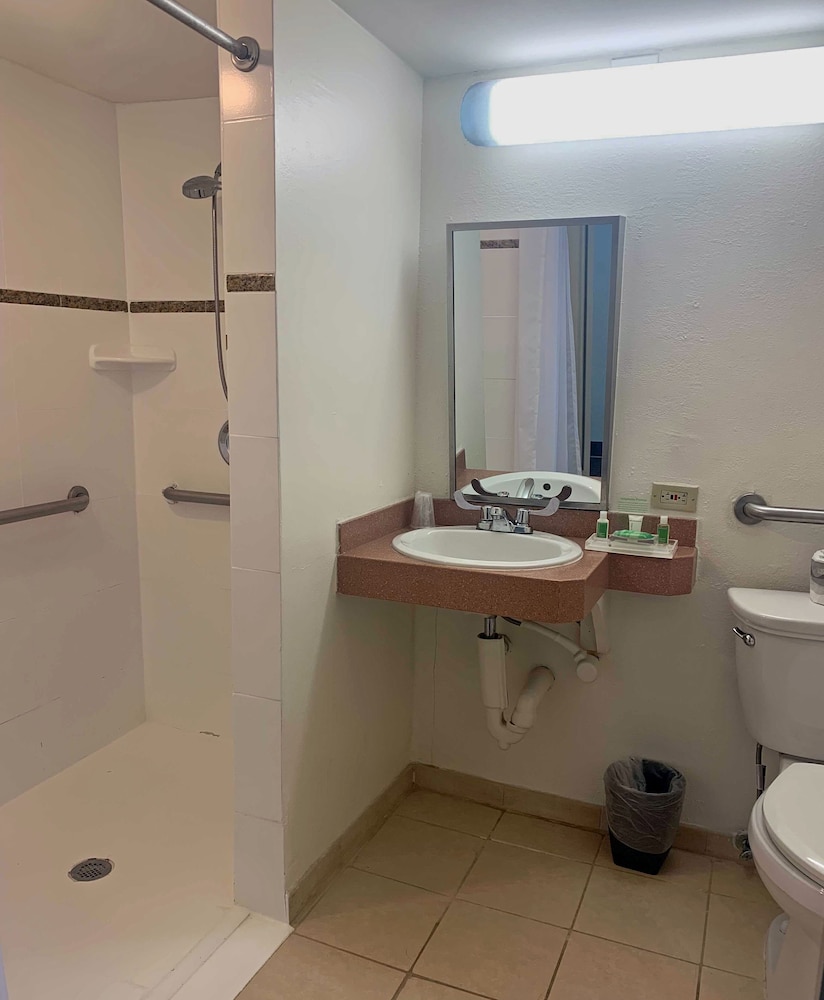 Holiday Inn Port of Miami Downtown Hotel - photo 40