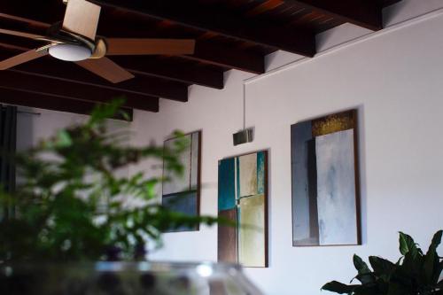 La Kaz Kreol — Cayenne — photo 3