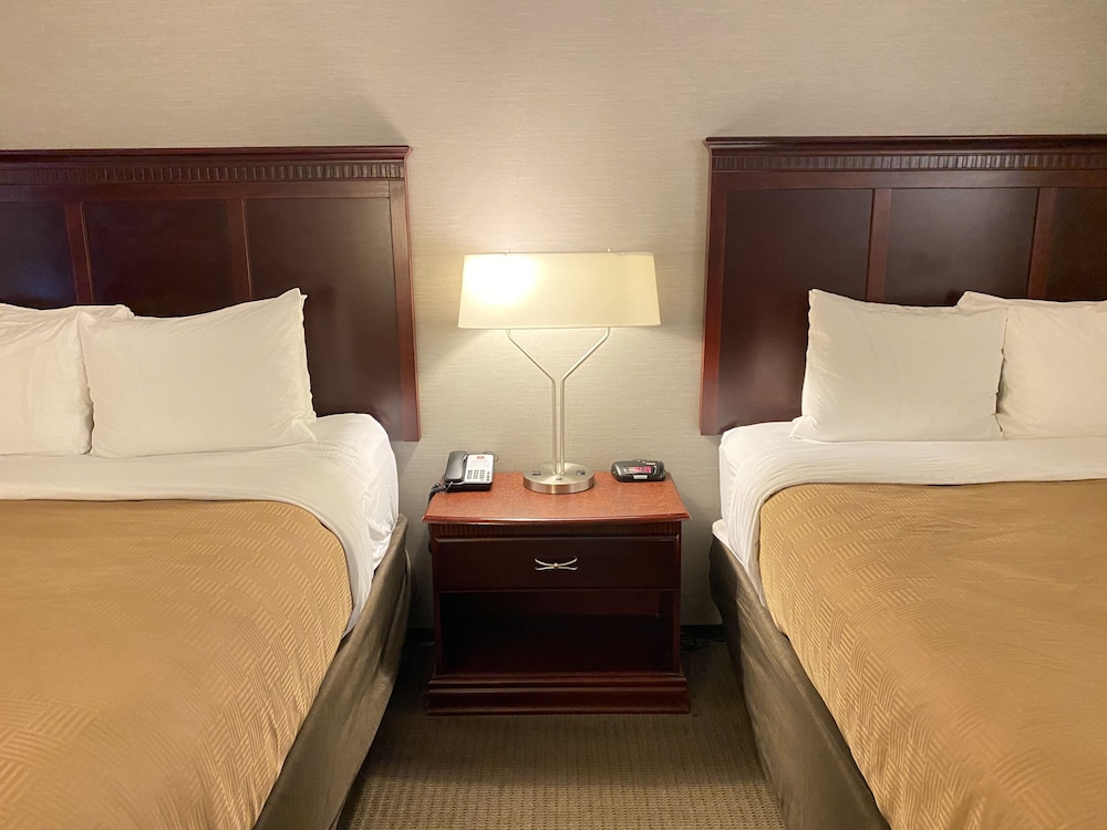 Clarion Inn & Suites Grand Rapids Airport - photo 17