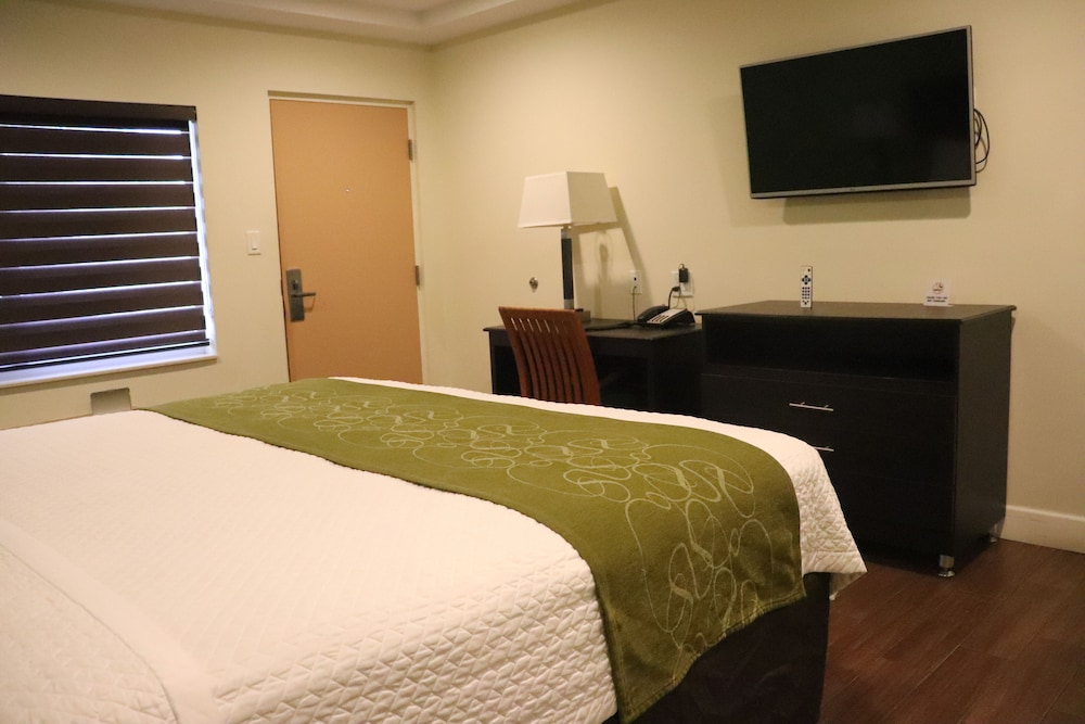 Curtis Inn & Suites - photo 10