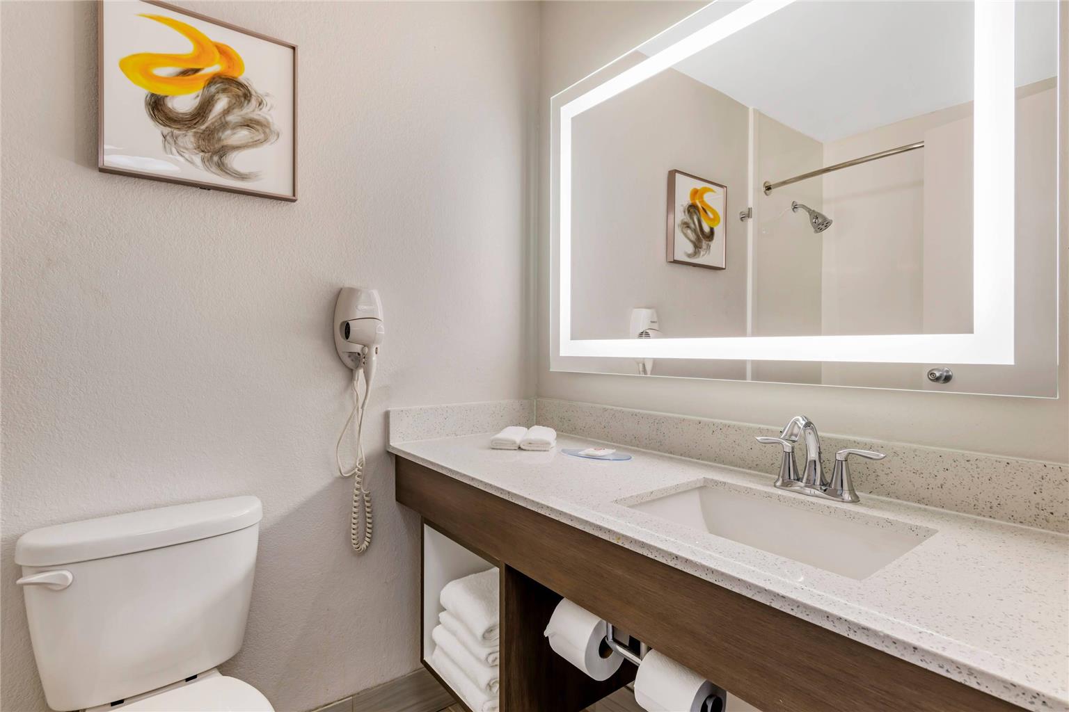 Comfort Inn & Suites Clemson University Area - photo 11