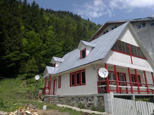 Cabana Dara — hotel in Cumpana