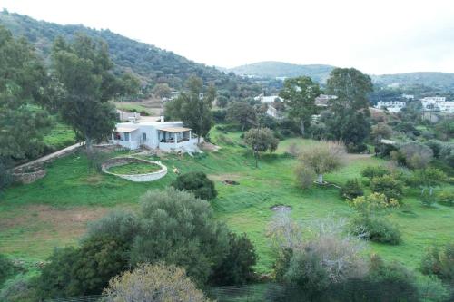 Annas Katikia — Unknown City — photo 3